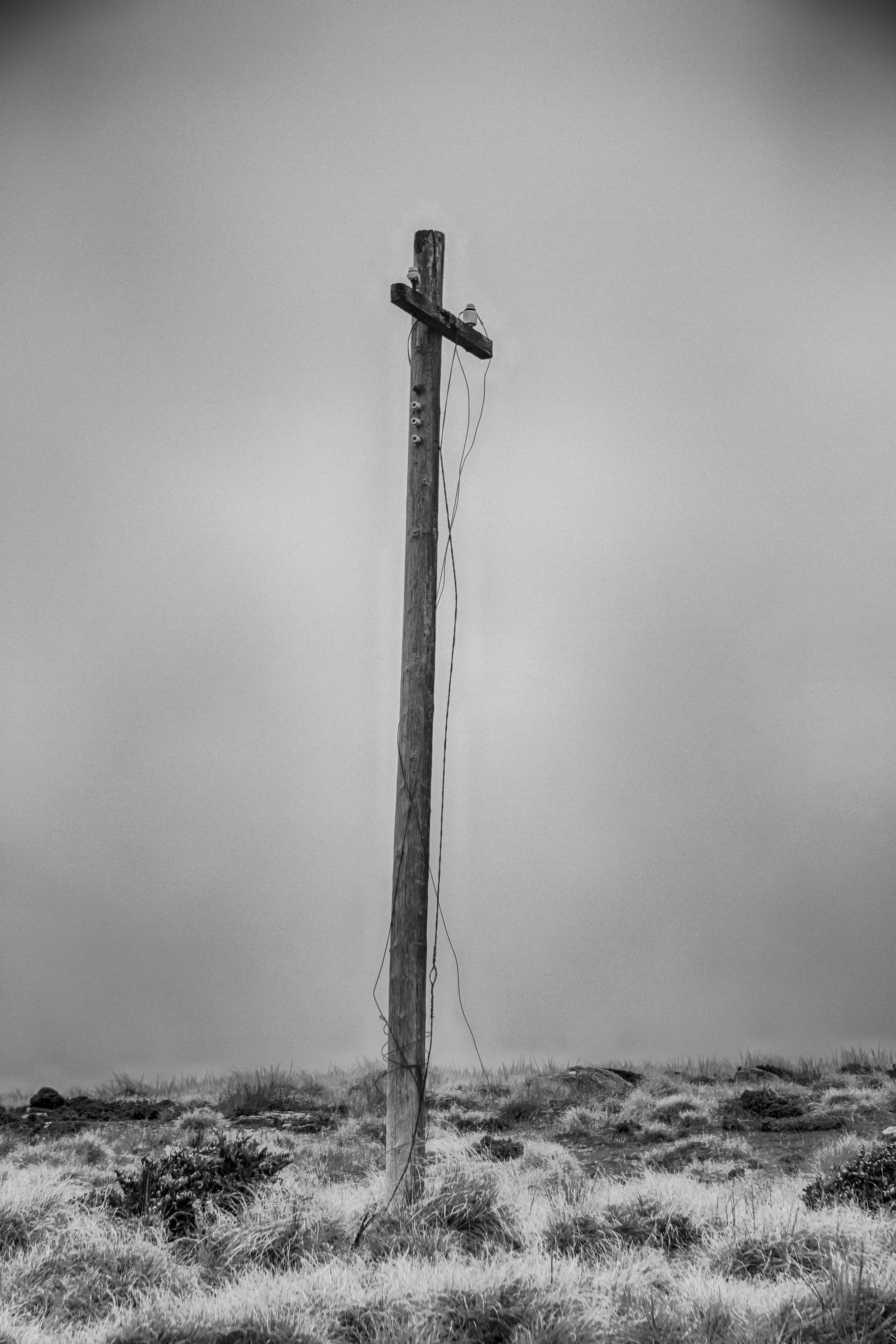 Obsolete technology - abandoned telegraph pole